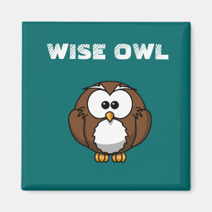 AIMANT WISE OWL