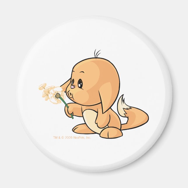 Aimant Wishing orange Kacheek (Devant)