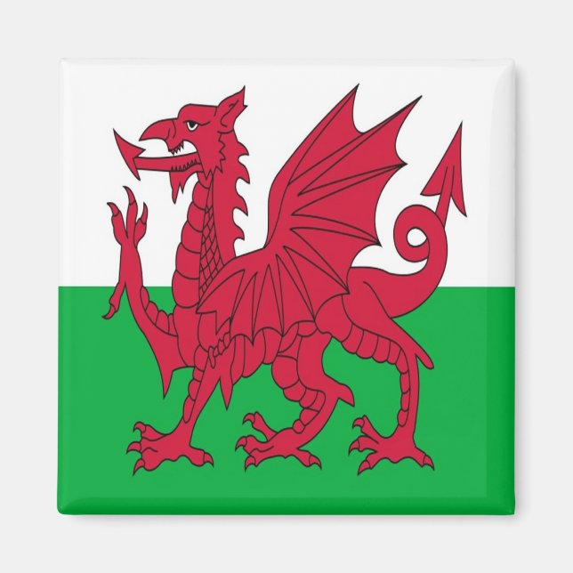 Aimant WLS001 WALES à galets, réfrigérateur (Devant)