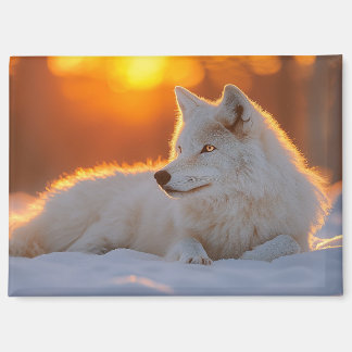 Aimant Wolf Wild Animal Loving Portrait