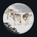 Aimant Wolves in Snow Painting - Original Wildlife Art<br><div class="desc">Wolves in Snow portrait,  original painting.   We specialize in cute and funny original art. Buy this for yourself or as a great gift for your Wolf loving friends. Be creative - click on CUSTOMIZE to add/remove/change text,  resize the picture,  change colors or anything else the customization tool will allow!</div>