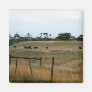Aimant Wonthaggi