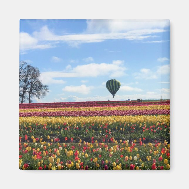 Aimant Wooden Shoe Tulip Farm, Woodburn, Oregon (Devant)