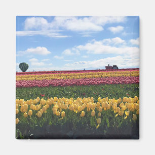 Aimant Wooden Shoe Tulip Farm, Woodburn, Oregon