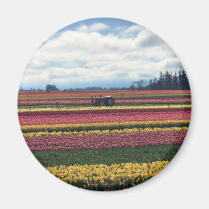 Aimant Wooden Shoe Tulip Farm, Woodburn, Oregon