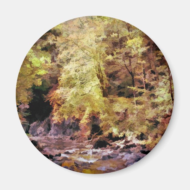 AIMANT WOODLAND STREAM (Devant)