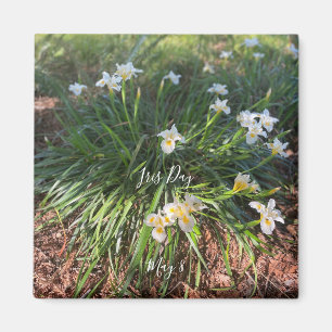 Aimant World2Celebrate : Iris Day