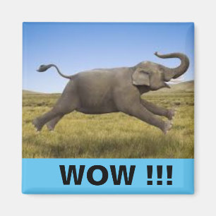 Aimant WOW