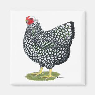Aimant Wyandotte : Hen argenté
