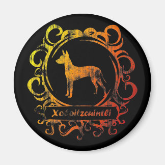 Aimant Xoloitzcuintli Patiné classique