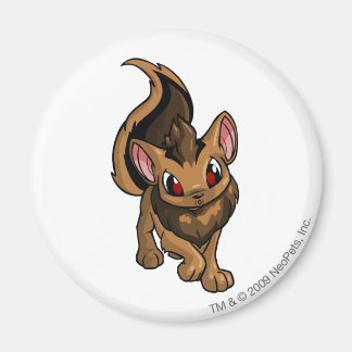 Aimant Xweetok Brown