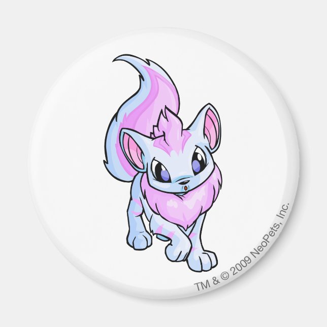 Aimant Xweetok trié (Devant)