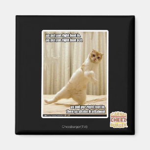 Aimant Ya a mis le pied droit de yur dedans, OU mise par