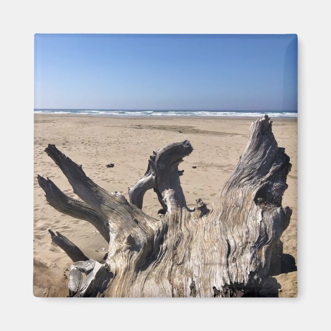 Aimant Yaquina Bay State Recrereation Site, Newport, Oreg (Devant)