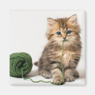 Aimant Yarn vert de Kitten