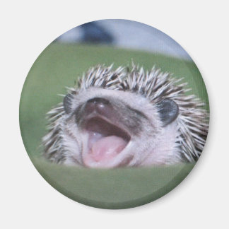 Aimant yawner