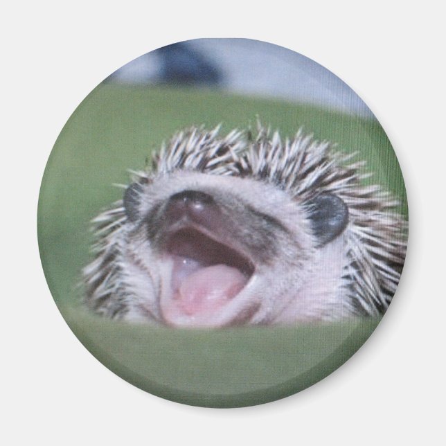 Aimant yawner (Devant)