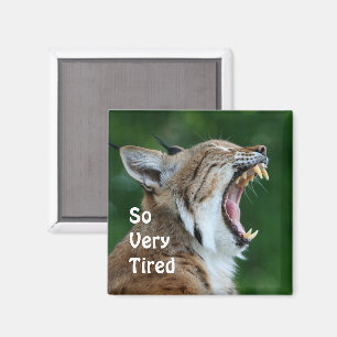 Aimant Yawning Bobcat