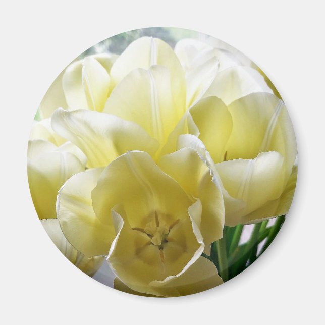 Aimant Yellow Tulip Bouquet (Devant)