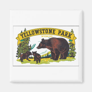 Aimant Yellowstone Park, Wyoming
