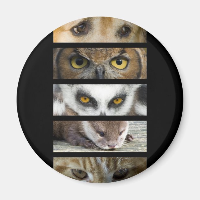Aimant - Yeux animaux (Devant)