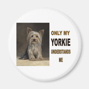 AIMANT YORKIE