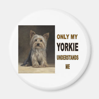 AIMANT YORKIE