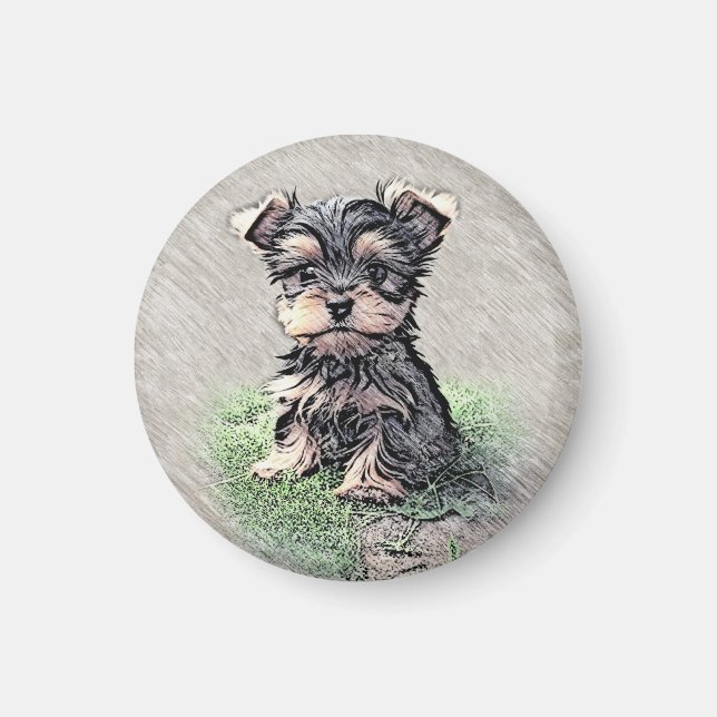 Aimant Yorkie, Chiot, animal de compagnie (Devant)