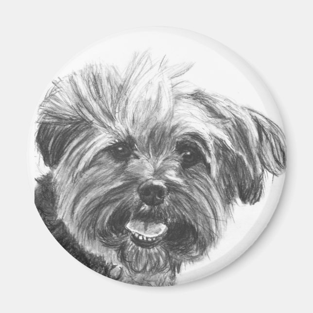 Aimant Yorkie Mix Dessin Charbon (Devant)