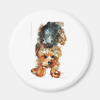 aimant - Yorkshire Terrier