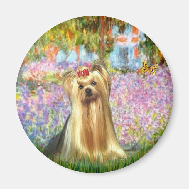 Aimant Yorkshire Terrier 1 - Jardin (Devant)