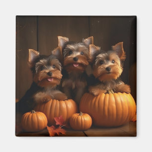 Aimant Yorkshire Terrier Chiot Automne Citrouille délice