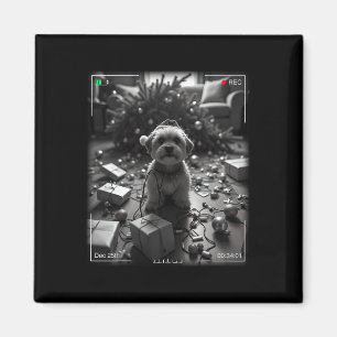 Aimant Yorkshire Terrier de Noël pris en caméra
