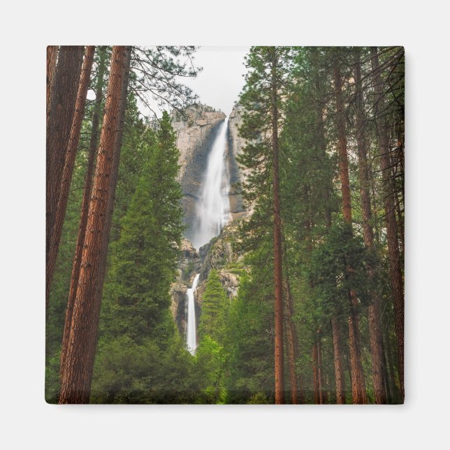 Aimant Yosemite Falls à travers la forêt (Devant)