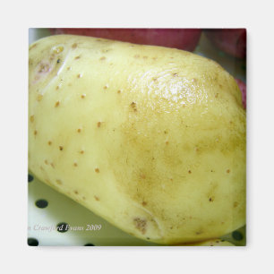 Aimant Yukon Gold potato