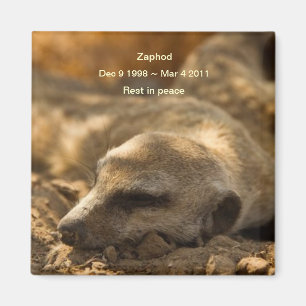 Aimant Zaphod_Rest dans l'aimant de paix