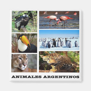 Aimant zAR027 ANIMAUX ARGENTINS, Mosaic Argentina, Fridge