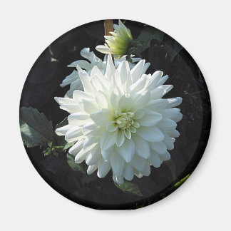 Aimant zazzle_fleur_blanche