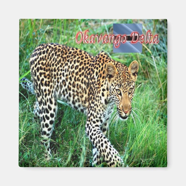 Aimant zBW007 Delta OKAVANGO, Ghepard BOTSWANA, Réfrigéra (Devant)