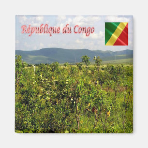 Aimant zCG004 NSELE, RÉPUBLIQUE DU CONGO, Frigo