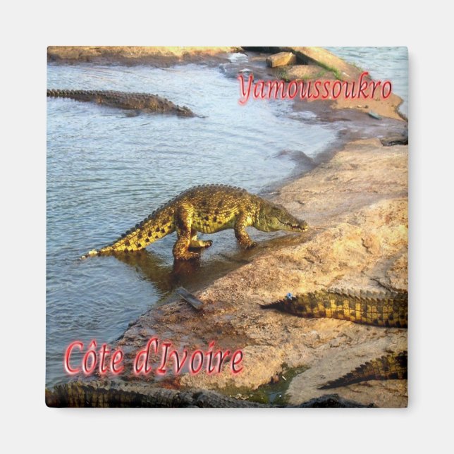 Aimant zCI011 YAMOUSSOUKRO, Côte d'Ivoire, Afrique, Frigo (Devant)