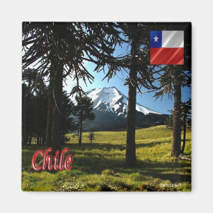 Aimant zCL026 CHILI, Araucarias, Monument naturel, Réfrig