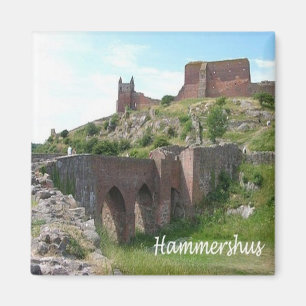 Aimant zDK006 HAMMERHSHUS, Îles Frise, Réfrigérateur