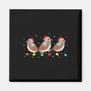 Aimant Zebra Finch Oiseau lumières de Noël amusant Animal
