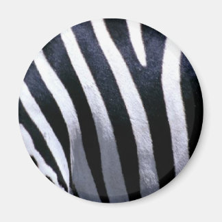Aimant Zebra Fur