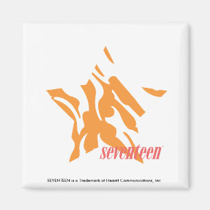 Aimant Zebra Orange 3