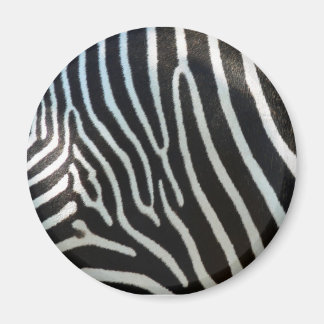 Aimant Zebra Stripes