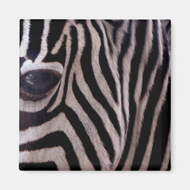 Aimant Zebra Stripes (Devant)