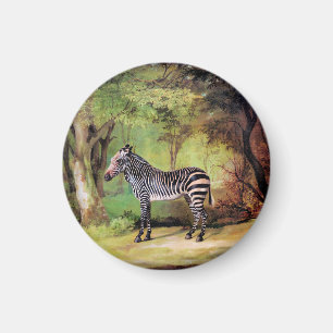 Aimant Zèbre, œuvre d'art de George Stubbs,