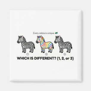 Aimant Zèbre qui est différent